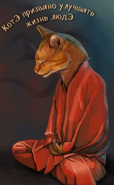 max_g480_c12_r2x3_pd20