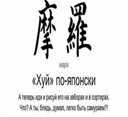 max_g480_c12_r4x3_pd20