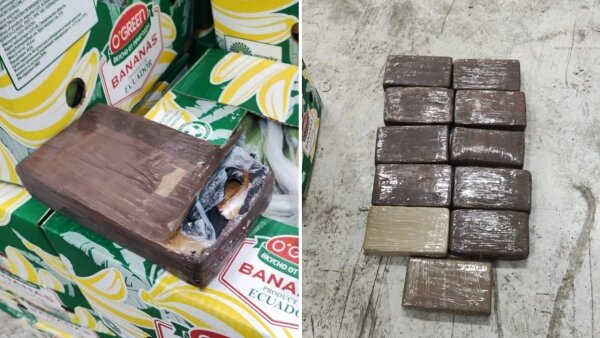 max_g360_c12_r16x9_pd20