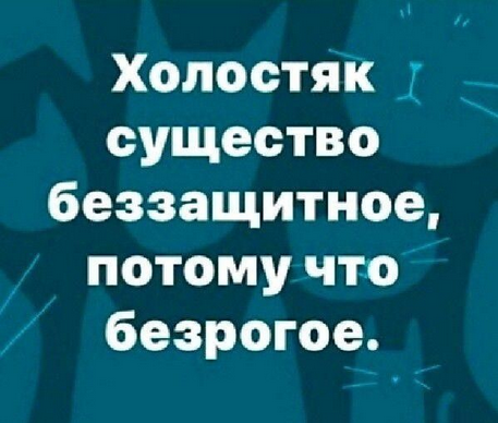 max_g480_c12_r4x3_pd20