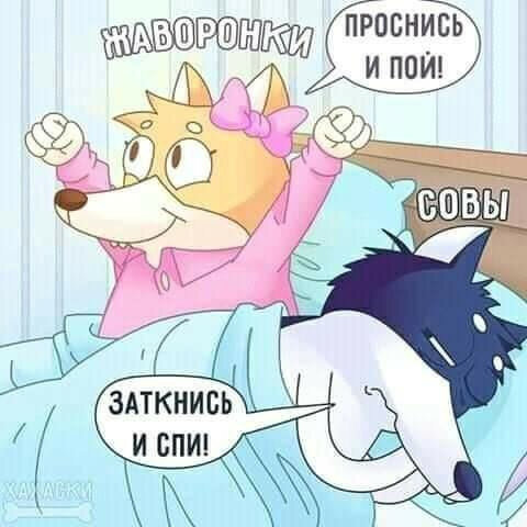 max_g480_c12_r1x1_pd20