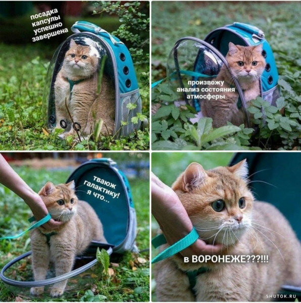 max_g480_c12_r3x4_pd20