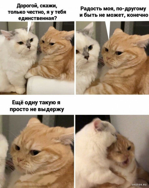 max_g480_c12_r3x4_pd20