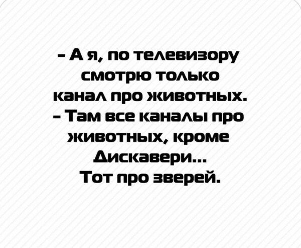 max_g480_c12_r4x3_pd20