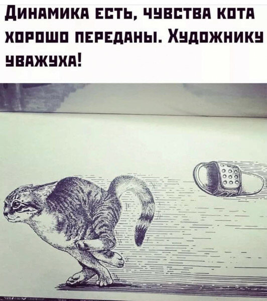 max_g480_c12_r3x4_pd20