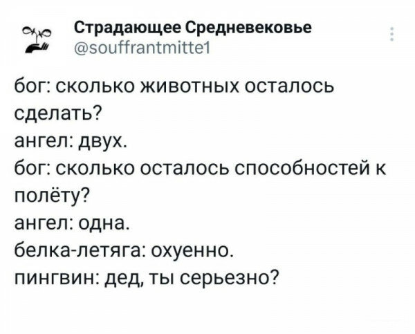 max_g480_c12_r4x3_pd20