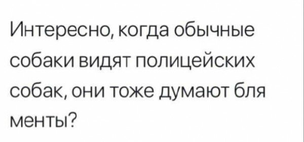 max_g480_c12_r16x9_pd20