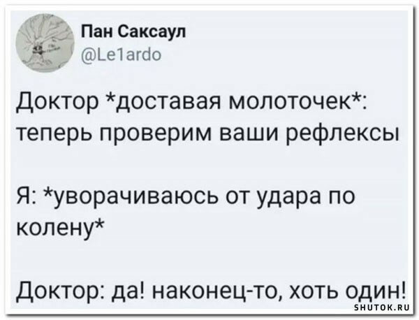 max_g480_c12_r4x3_pd20