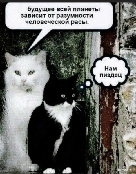 max_g480_c12_r3x4_pd20