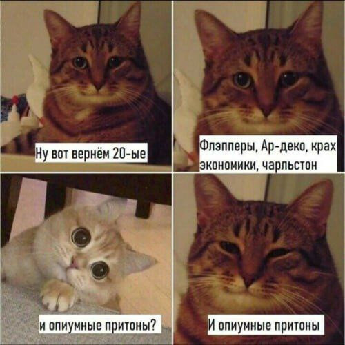 max_g480_c12_r1x1_pd20