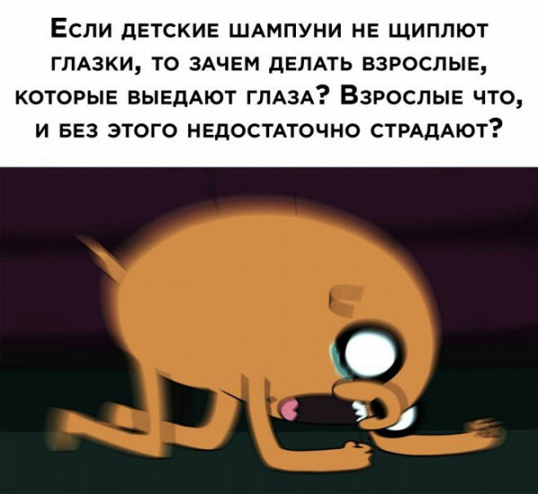 max_g480_c12_r4x3_pd20