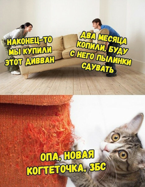 max_g480_c12_r3x4_pd20