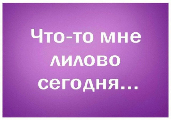 max_g480_c12_r4x3_pd20