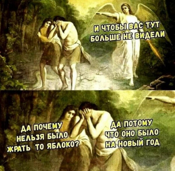 max_g480_c12_r4x3_pd20