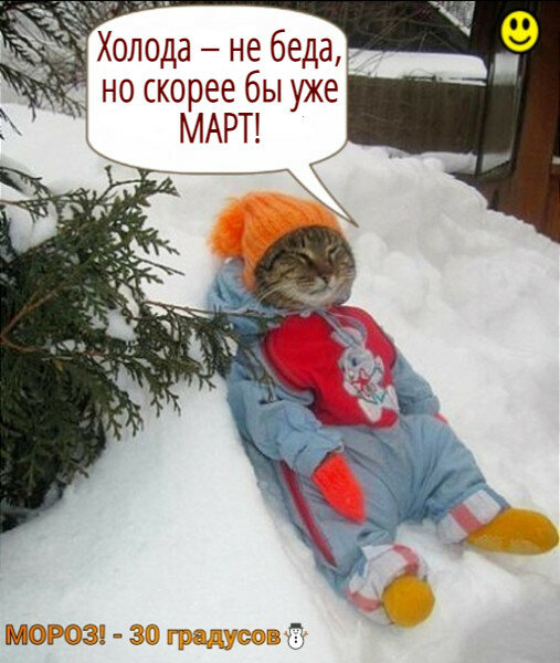 max_g480_c12_r3x4_pd20