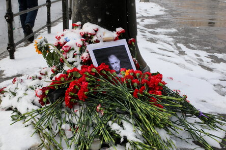 Новости Сегодня