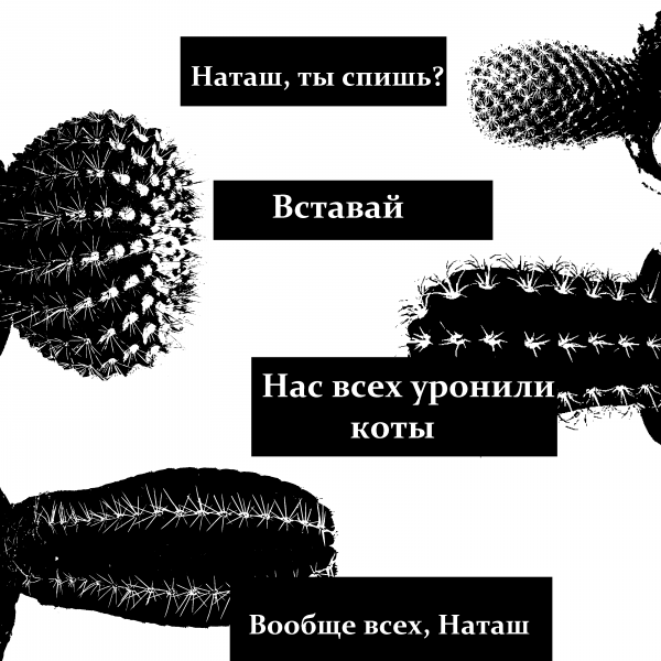 max_g480_c12_r1x1_pd20