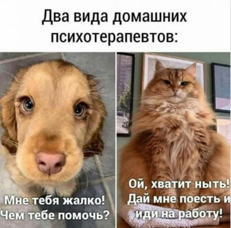 max_g480_c12_r4x3_pd10