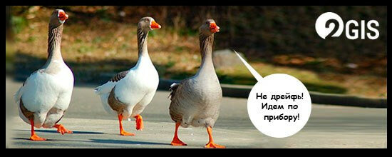 max_g480_c12_r16x9_pd20