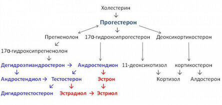 Әдемі қара әйелдермен порно секс