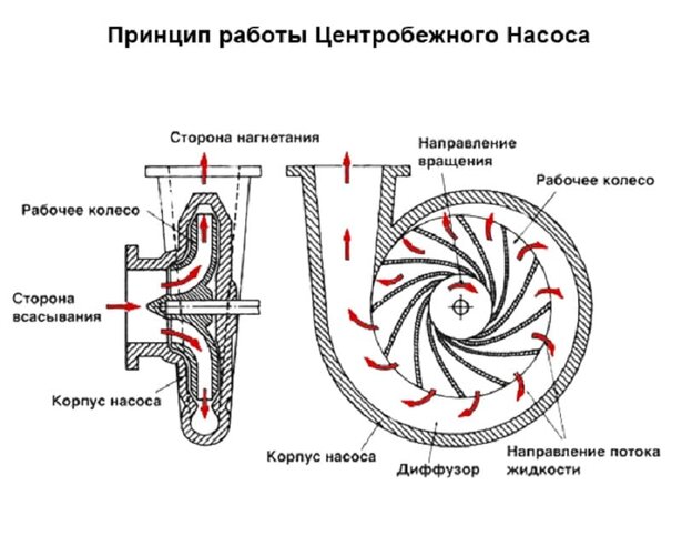 Классификация - изображение 4