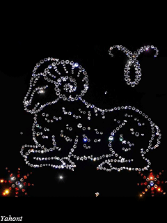 max_g480_c12_r3x4_pd20