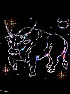 max_g480_c12_r3x4_pd20