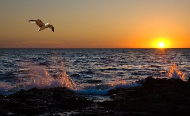 max_g360_c12_r4x3_pd20