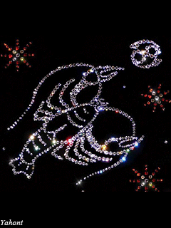 max_g480_c12_r3x4_pd20