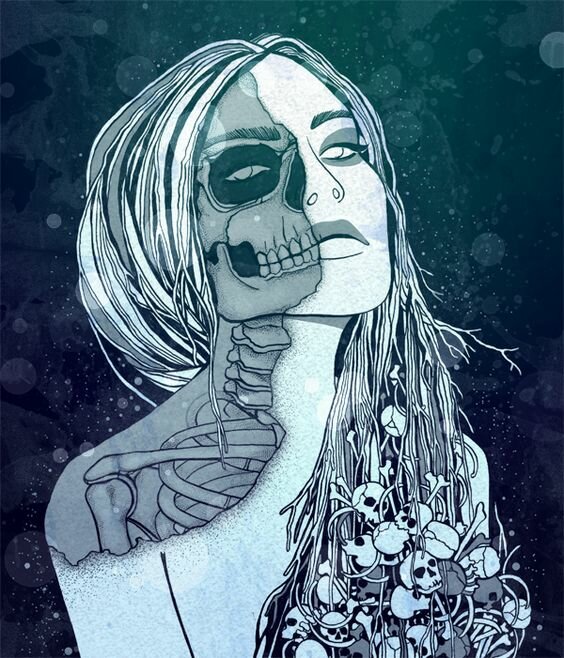 max_g360_c12_r3x4_pd20