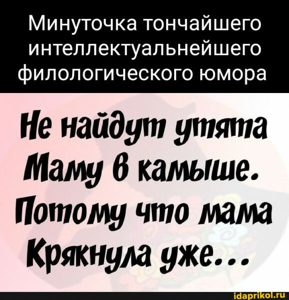 max_g480_c12_r3x4_pd20