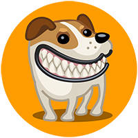 Передержка собак в гостинице DOGDAYS! Саратов!