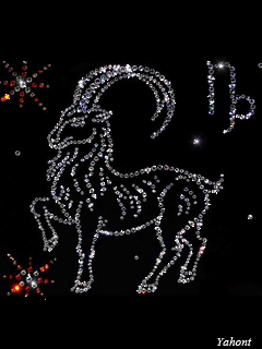 max_g480_c12_r3x4_pd20