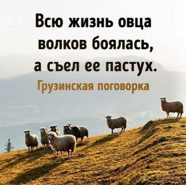 max_g480_c12_r1x1_pd20