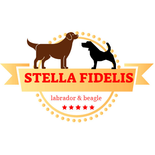 питомник "Стелла Фиделис"