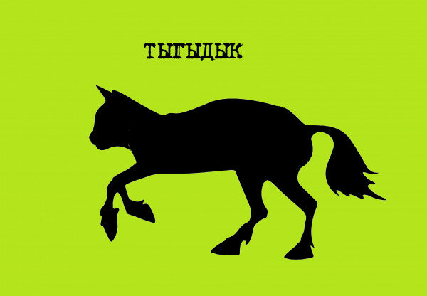 max_g480_c12_r4x3_pd20