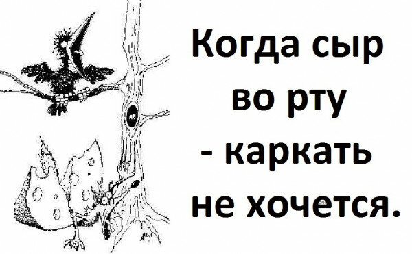 max_g480_c12_r4x3_pd20