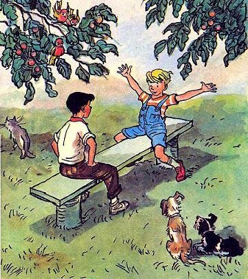 max_g360_c12_r3x4_pd20