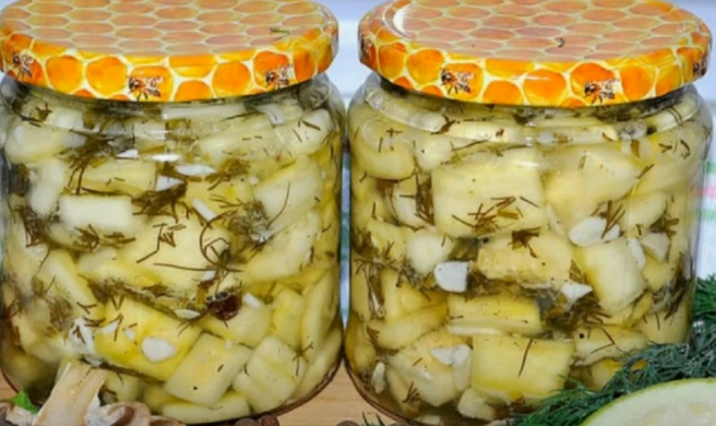 max_g360_c12_r4x3_pd20