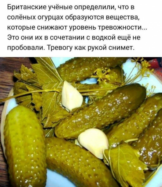 max_g480_c12_r3x4_pd20