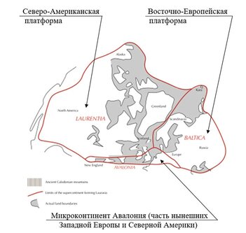 Еврамерика, девон, около 390 млн лет назад