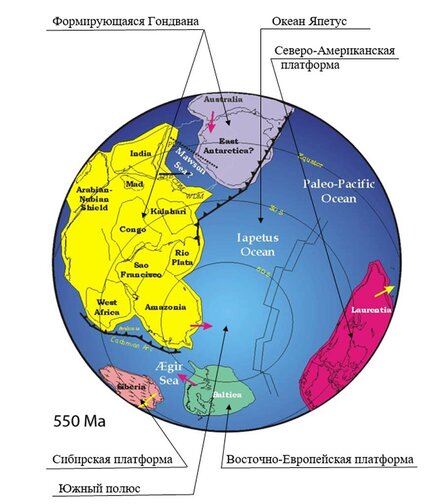 Земля 550 млн лет назад