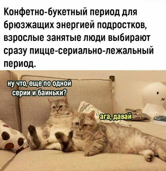 max_g480_c12_r3x4_pd20