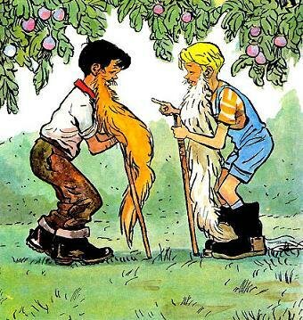 max_g360_c12_r3x4_pd20