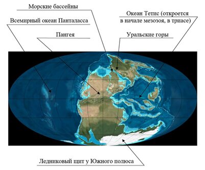 260 млн лет назад. Конец палеозоя. Пангея и Уральские горы