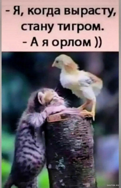 max_g480_c12_r2x3_pd20