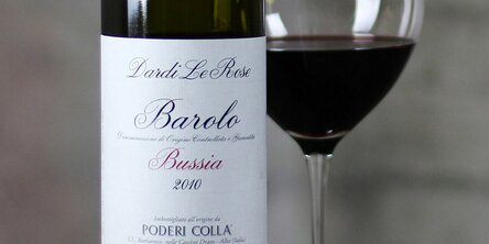 max_g480_c12_r16x9_pd10