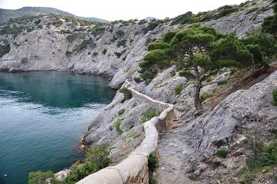 max_g360_c12_r4x3_pd20