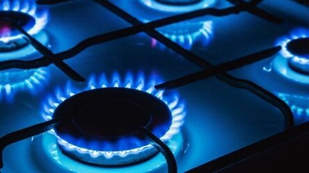 max_g480_c12_r16x9_pd10