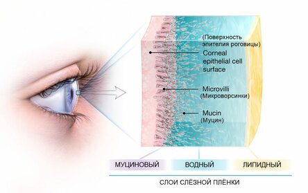 После секса болят глаза